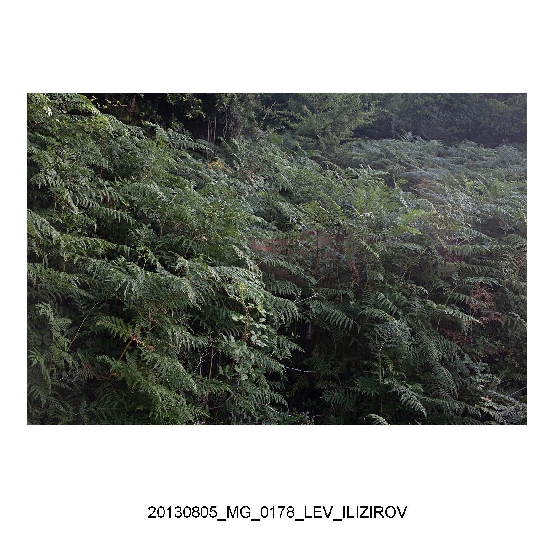 LEV_ILIZIROV_Page_14