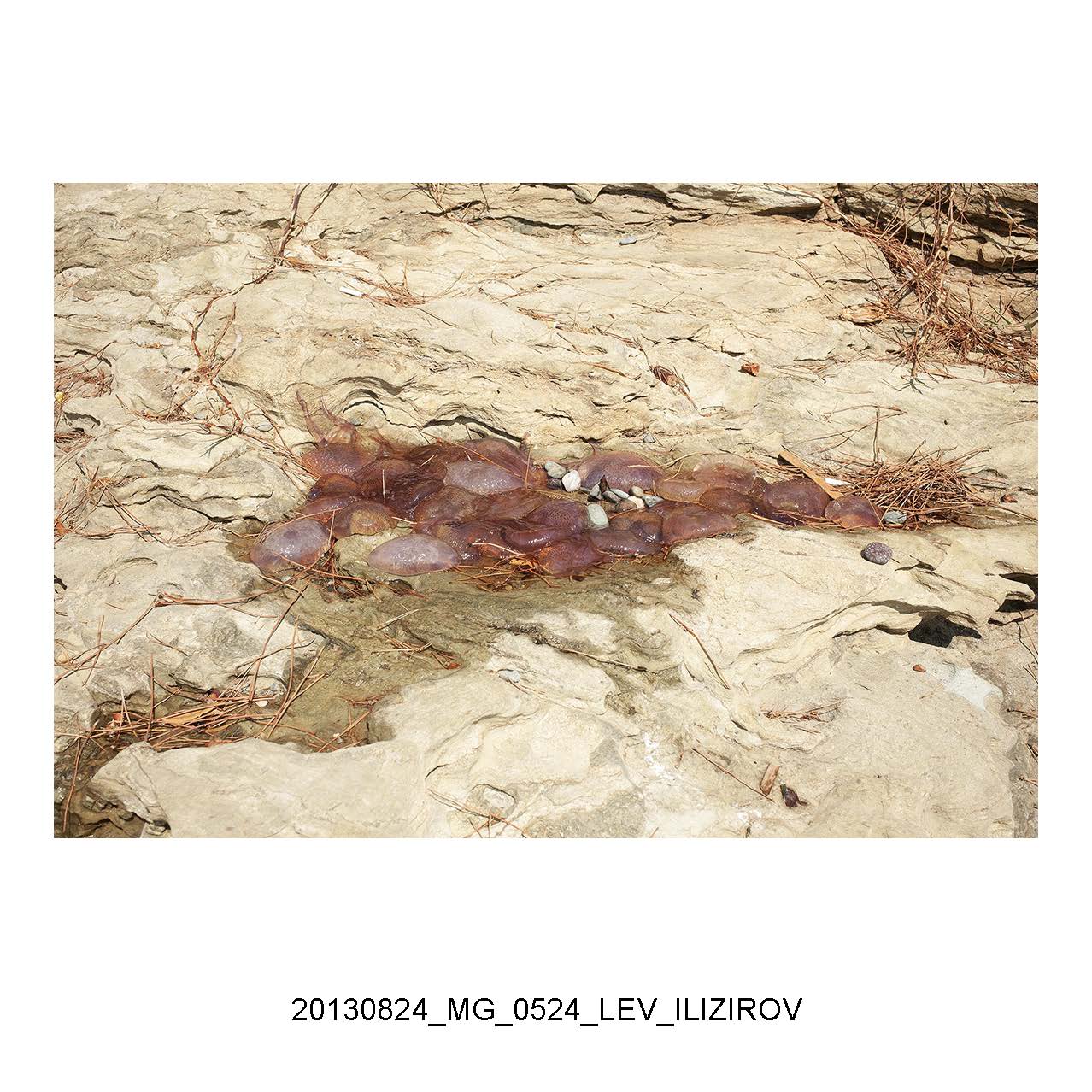 LEV_ILIZIROV_Page_15