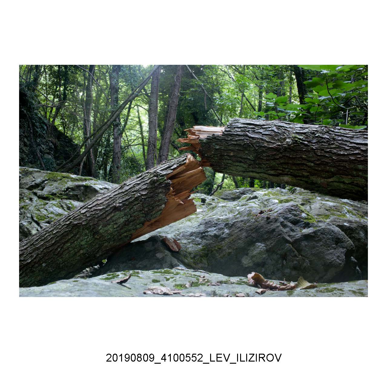 LEV_ILIZIROV_Page_26